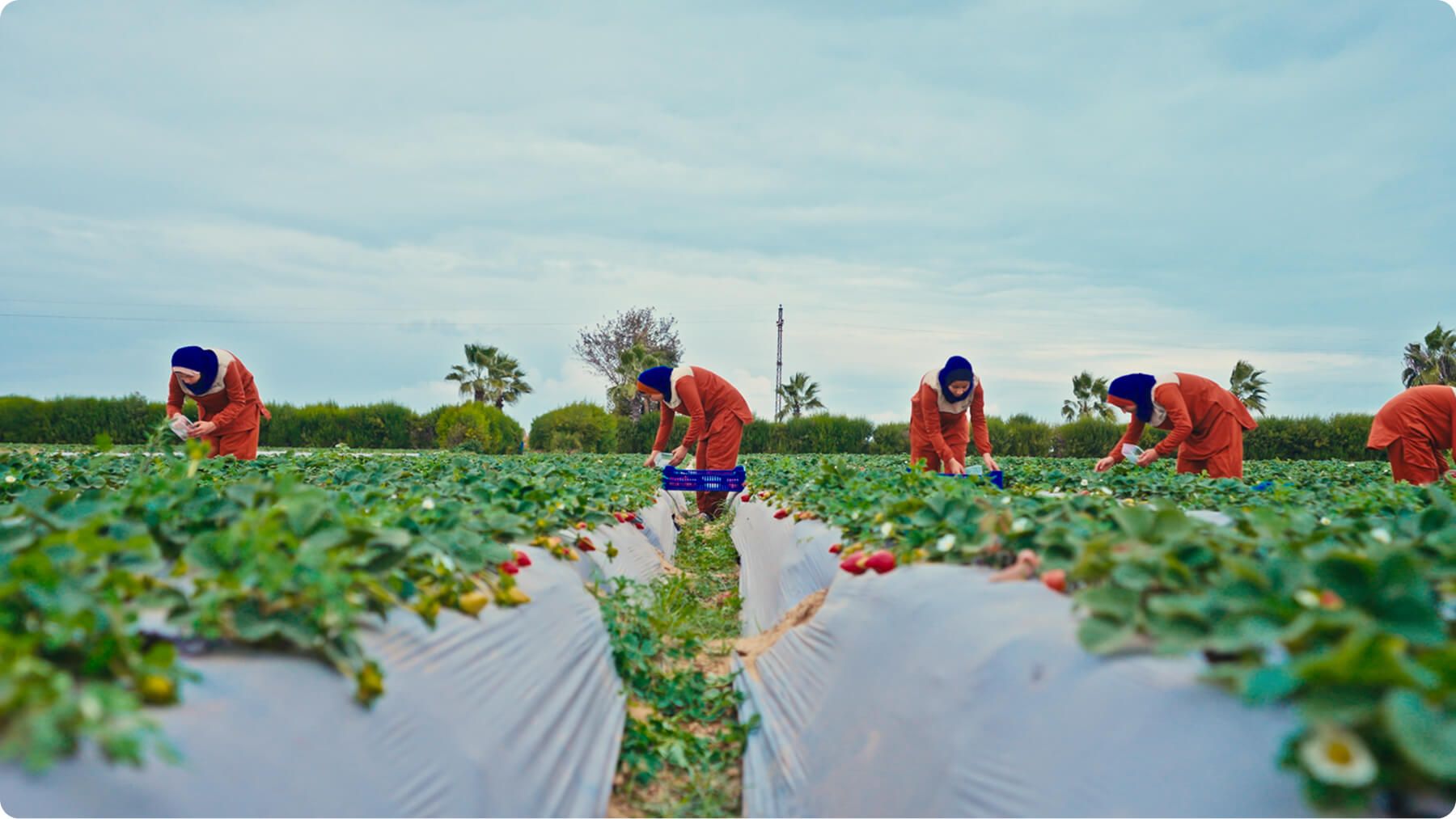 Korra Agri Aims to Double Exports to 10,000 Tons, Enter US, Denmark, and Norway Markets